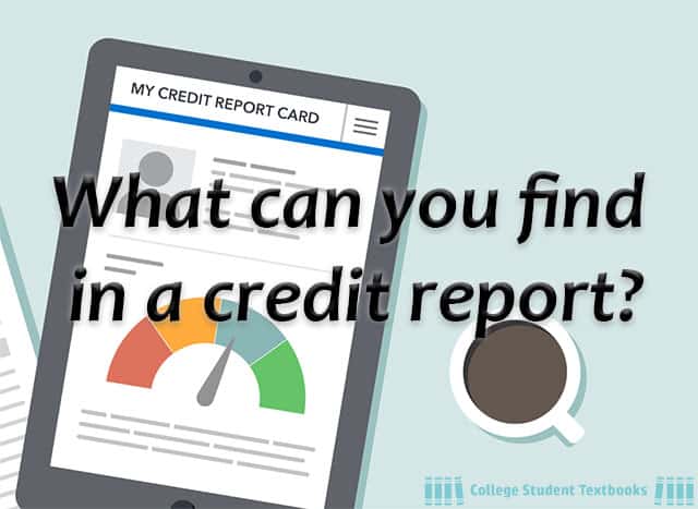 what can you find in a credit report